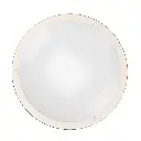 12 Inch Dimmable Brushed Nickel Finish LED Flush Mount Ceiling Lights, Double Ring, 15W 1050LM-ASU3.webp