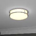 14 Inch Dimmable Brushed Nickel Finish LED Flush Mount Ceiling Lights, Double Ring, 22W 1600LM-ASU5.webp